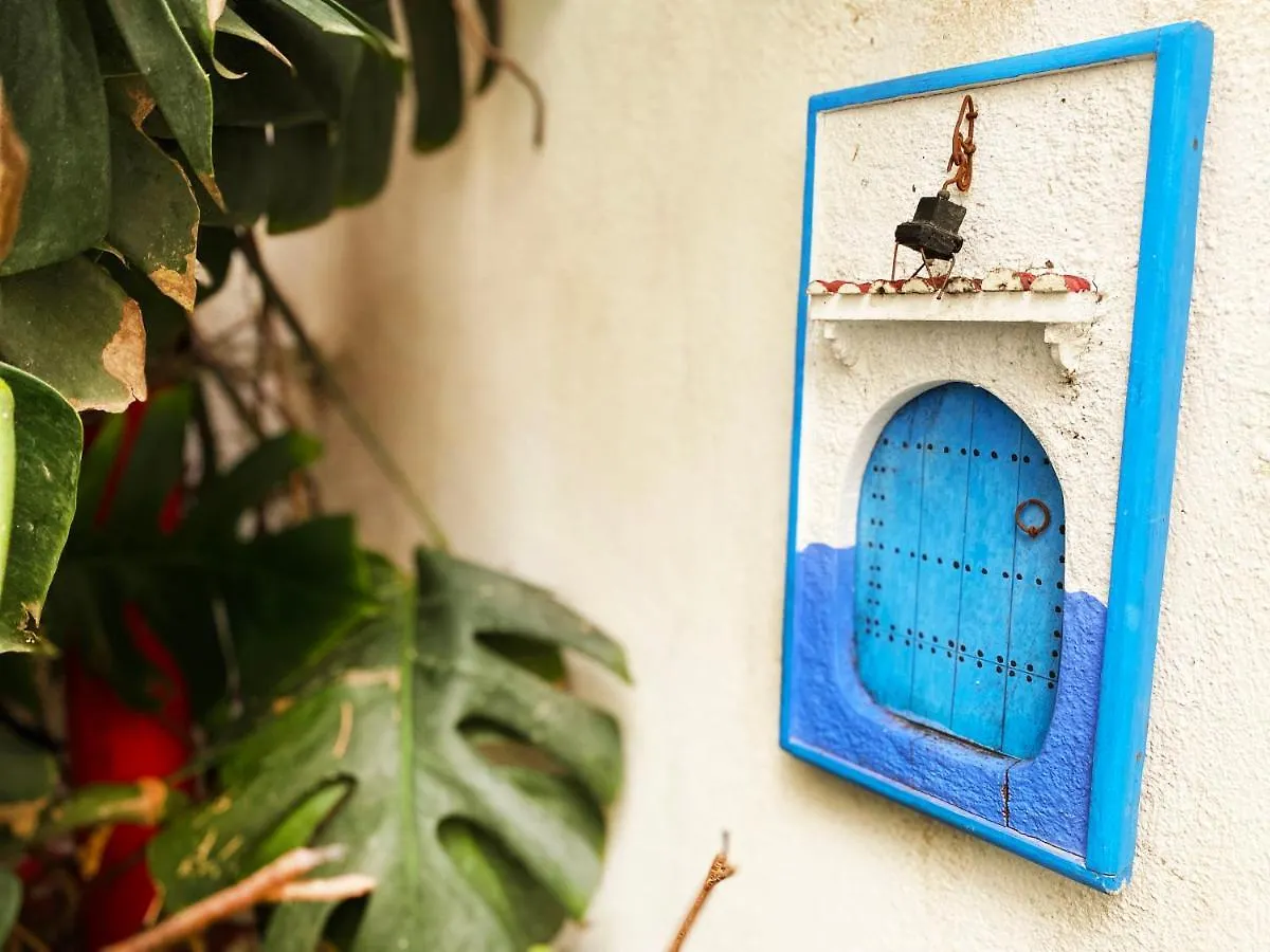 Eco Hostel Granada Spain
